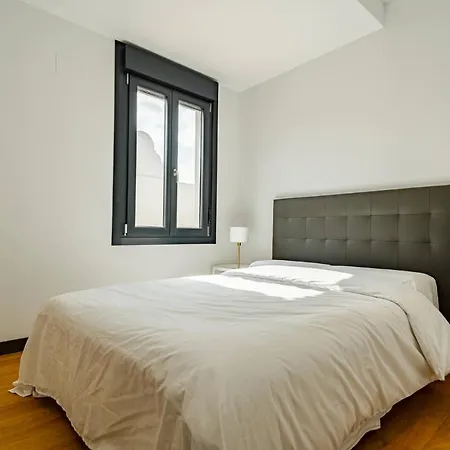 Edificio Fénix, Constitución 1