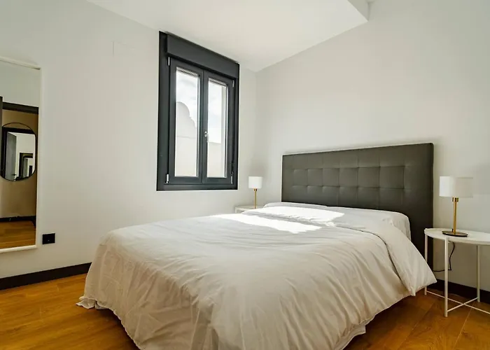 Edificio Fenix By Plaza Mayor